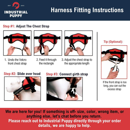Professional Service Dog Vest and Leash Set with Adjustable Hook and Loop Straps - Available in XXS to XXL - Features Reflective Patch and Breathable Mesh Design