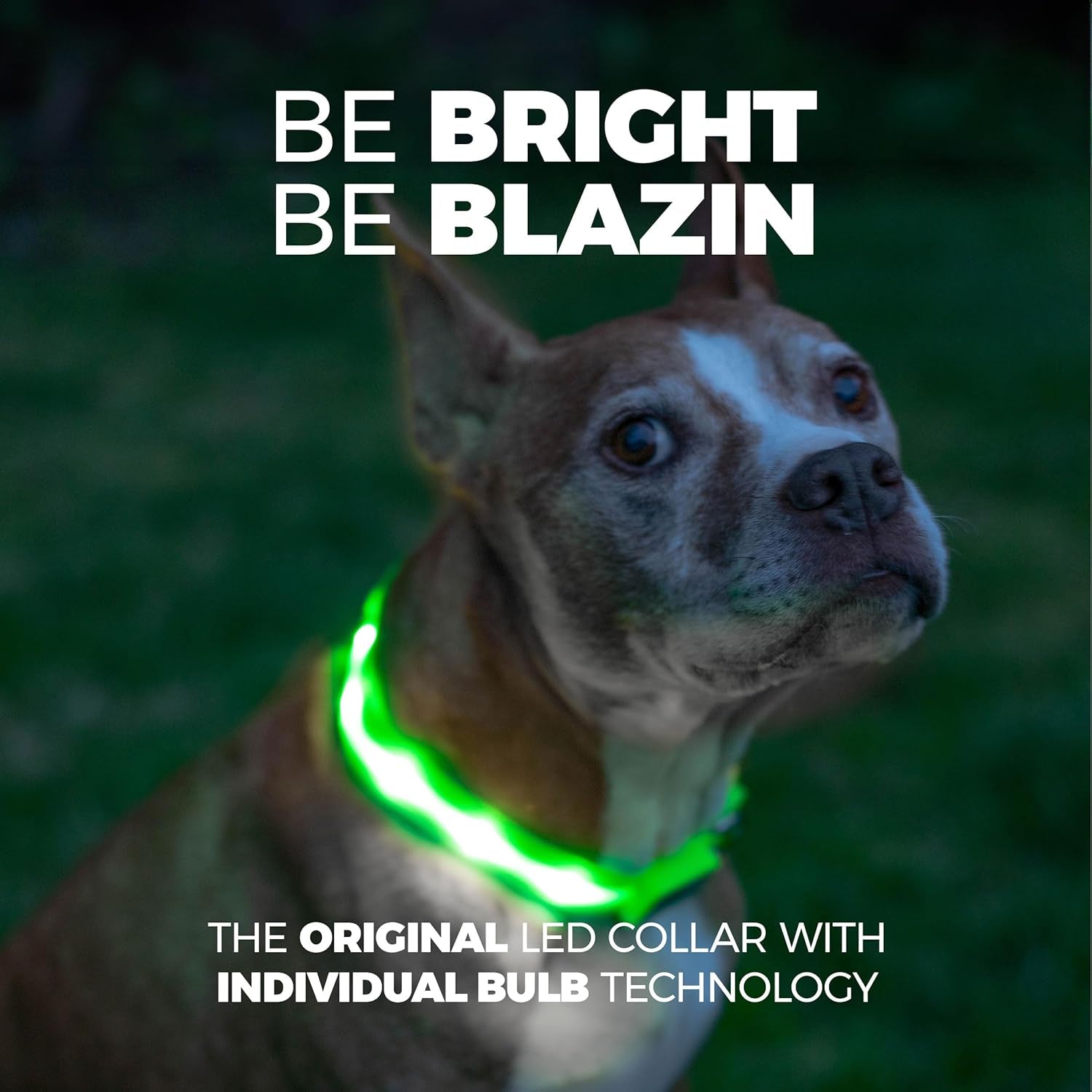 LED Dog Collar - Original USB Rechargeable and Waterproof Design - 1,000 Feet Visibility - Suitable for Small, Medium, and Large Dogs - US Brand