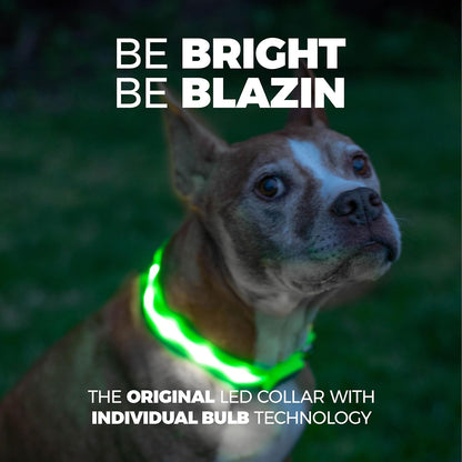 LED Dog Collar - Original USB Rechargeable and Waterproof Design - 1,000 Feet Visibility - Suitable for Small, Medium, and Large Dogs - US Brand