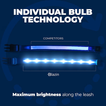 LED Dog Collar - Original USB Rechargeable and Waterproof Design - 1,000 Feet Visibility - Suitable for Small, Medium, and Large Dogs - US Brand