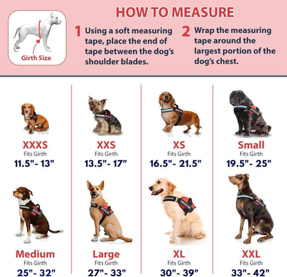 Professional Service Dog Vest and Leash Set with Adjustable Hook and Loop Straps - Available in XXS to XXL - Features Reflective Patch and Breathable Mesh Design